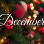 December News & Events