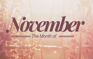 November News, Events & Schedule