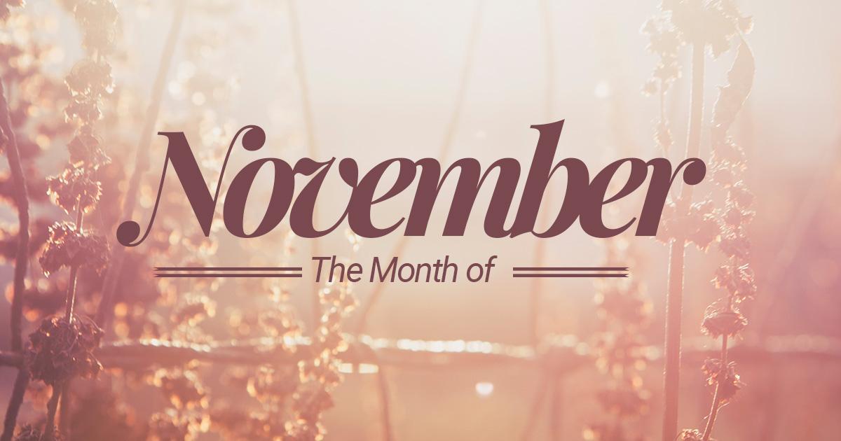 November News, Events & Schedule