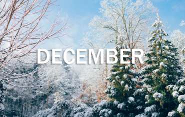 December News, Events & Schedule