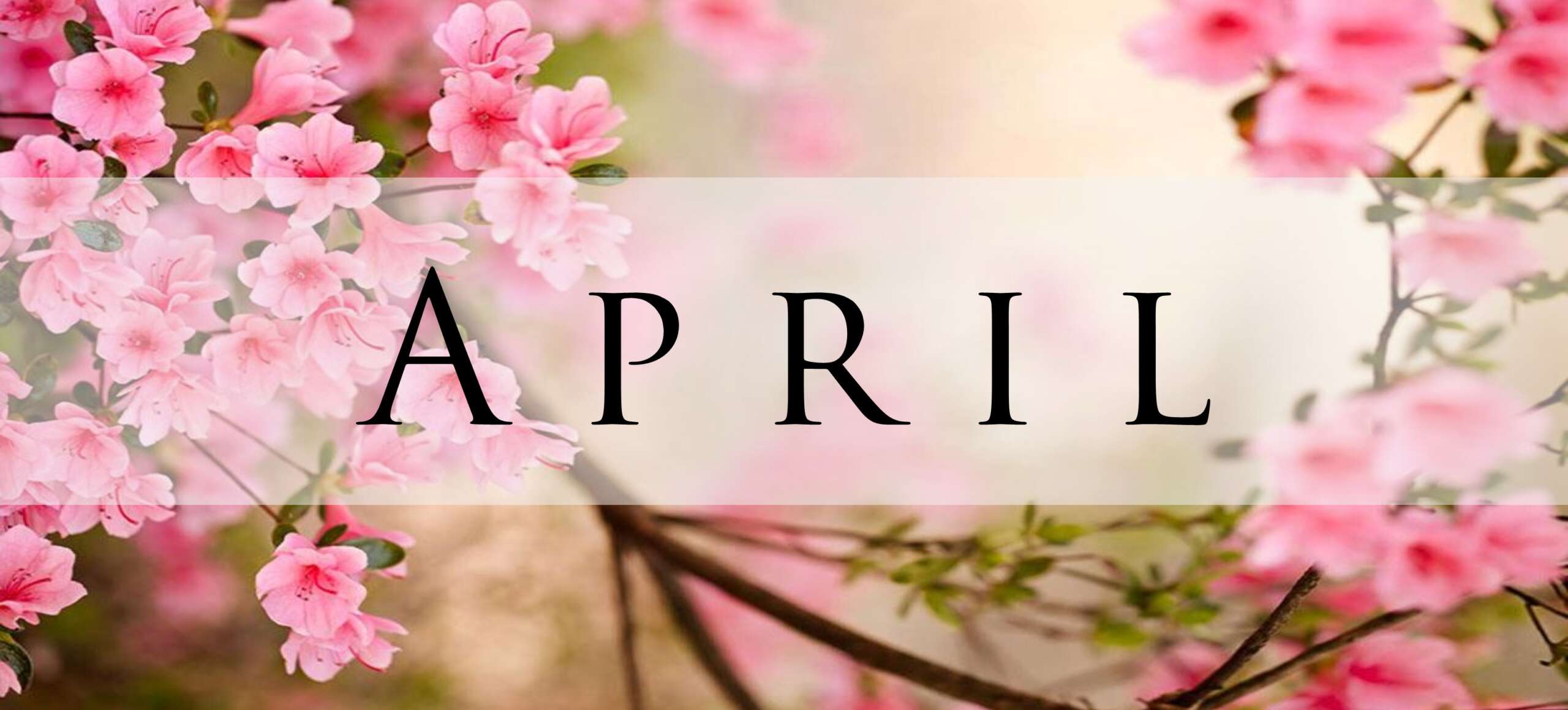 April News, Events & Schedule
