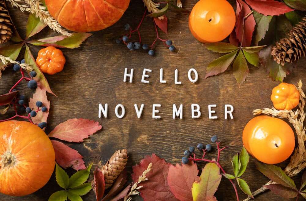 NOVEMBER NEWS & EVENTS