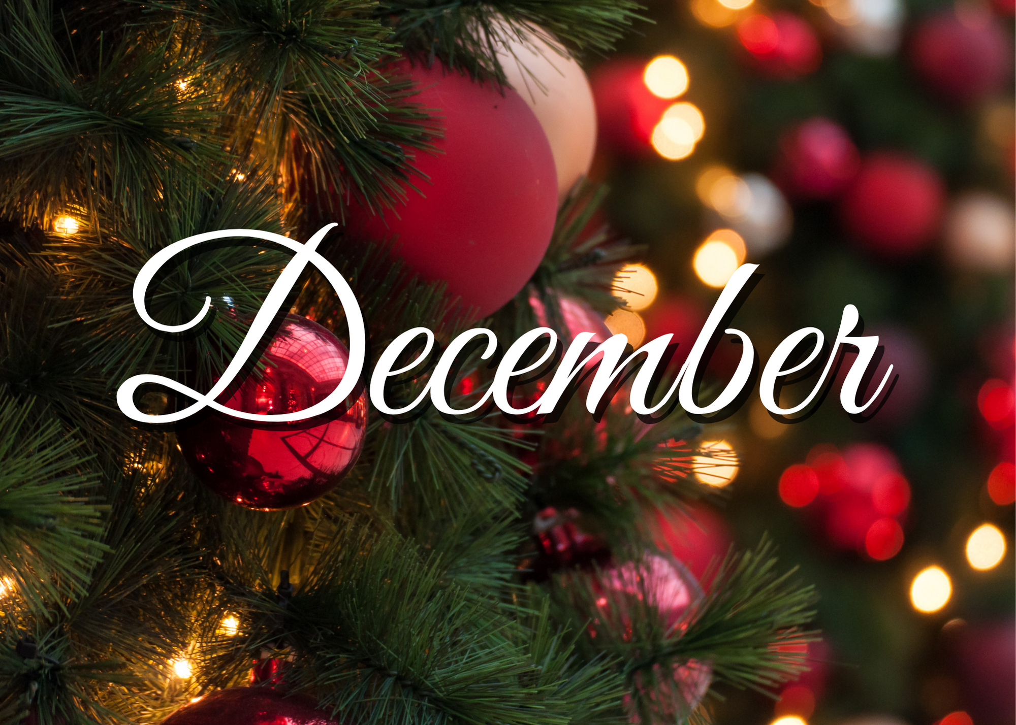 December News & Events